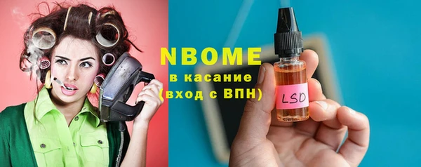 индика Лабытнанги