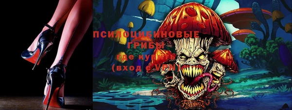 дурь Слюдянка