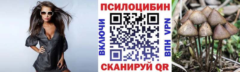закладки  Суздаль  Галлюциногенные грибы мухоморы 