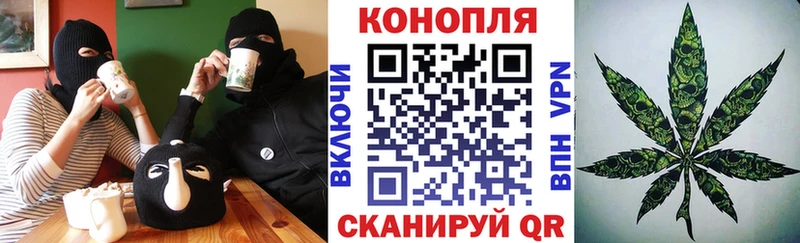 Бошки марихуана White Widow  мега ССЫЛКА  Суздаль  где можно купить  